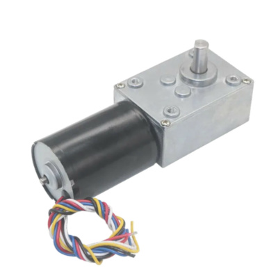 PB-BLDC-5840-3650 12V 10 RPM  Brushless DC Worm Gear Reduction Motor with Encoder