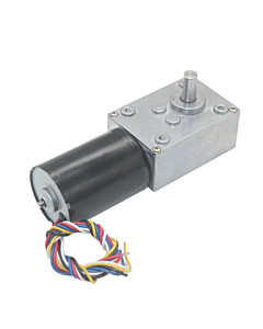PB-BLDC-5840-3650 24V 10 RPM Brushless DC Worm Gear Reduction Motor with Encoder