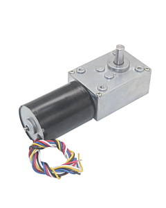 PB-BLDC-5840-3650 24V 16 RPM Brushless DC Worm Gear Motor with Encoder