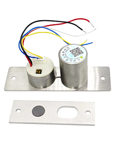 LockIT LEBL-N-01-12F Electric Bolt Action Lock with Time Delay Feedback12V