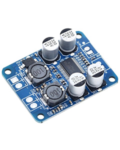 TPA3118 60W Single Channel Digital Power Audio Amplifier Module Mono