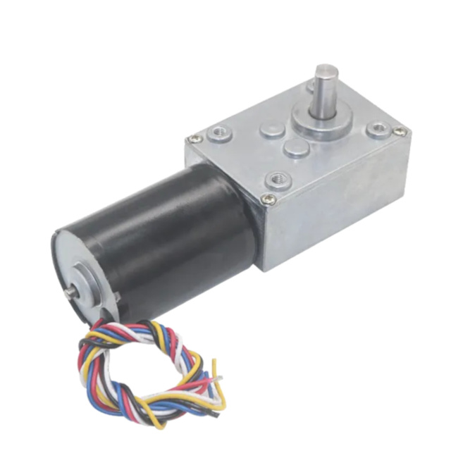PB-BLDC-5840-3650 24V 80 RPM  Brushless DC Worm Gear Motor with Encoder