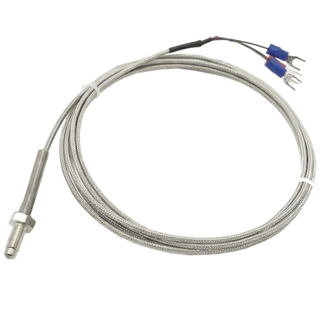 PT100 Temperature Sensor - 3-Wire RTD, 2m Braided Cable M6 Screw Probe