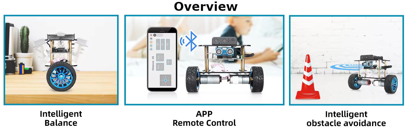 Probots 2-Wheel Drive Self-Balancing Smart Robot Car With